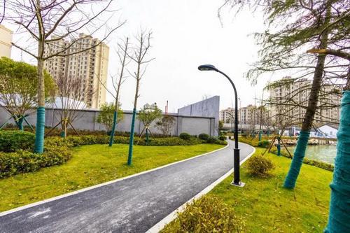 平湖市街頭綠化容貌升級(jí) 精細(xì)管理描繪城市新畫卷